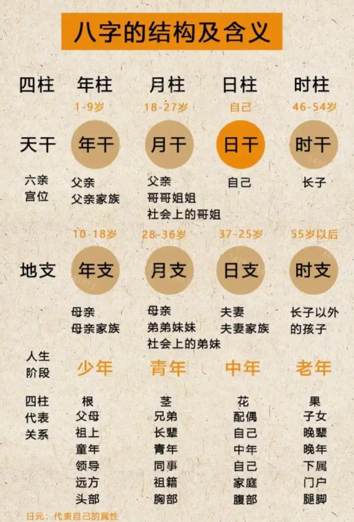 八字十神在线查询(八字十神贵人查法大全)
