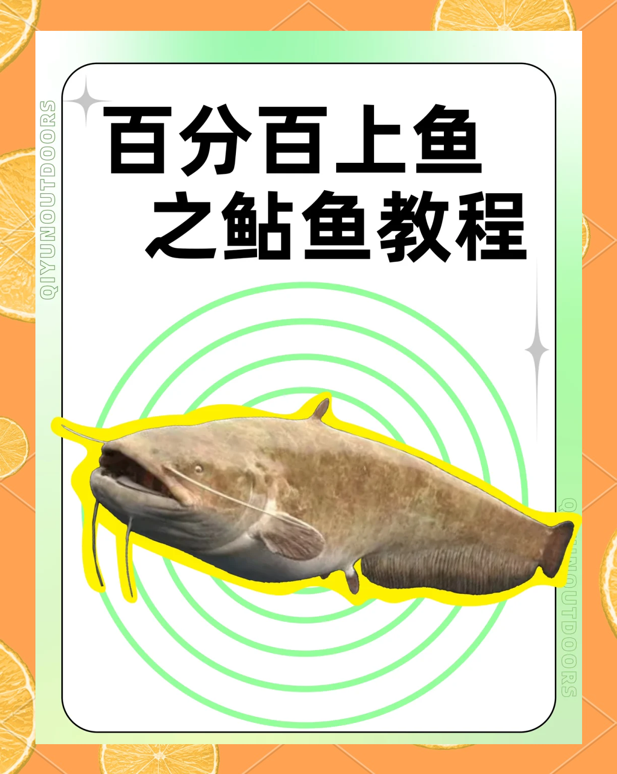 怎样钓苦花鱼视频(钓苦花鱼最简单三个绝招视频)
