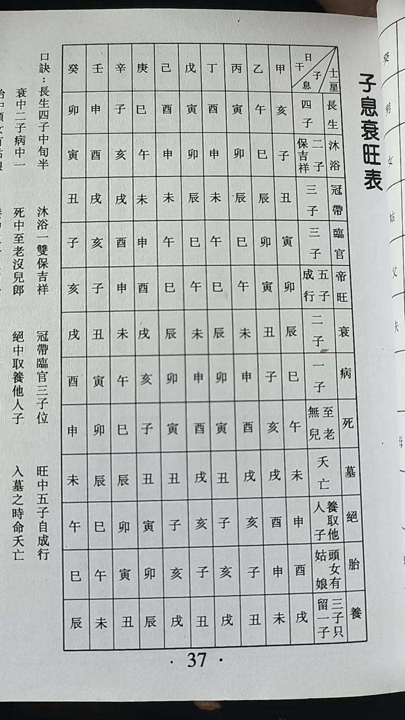 八字命盘查询免费前世(命盘在线八字排盘系统app)