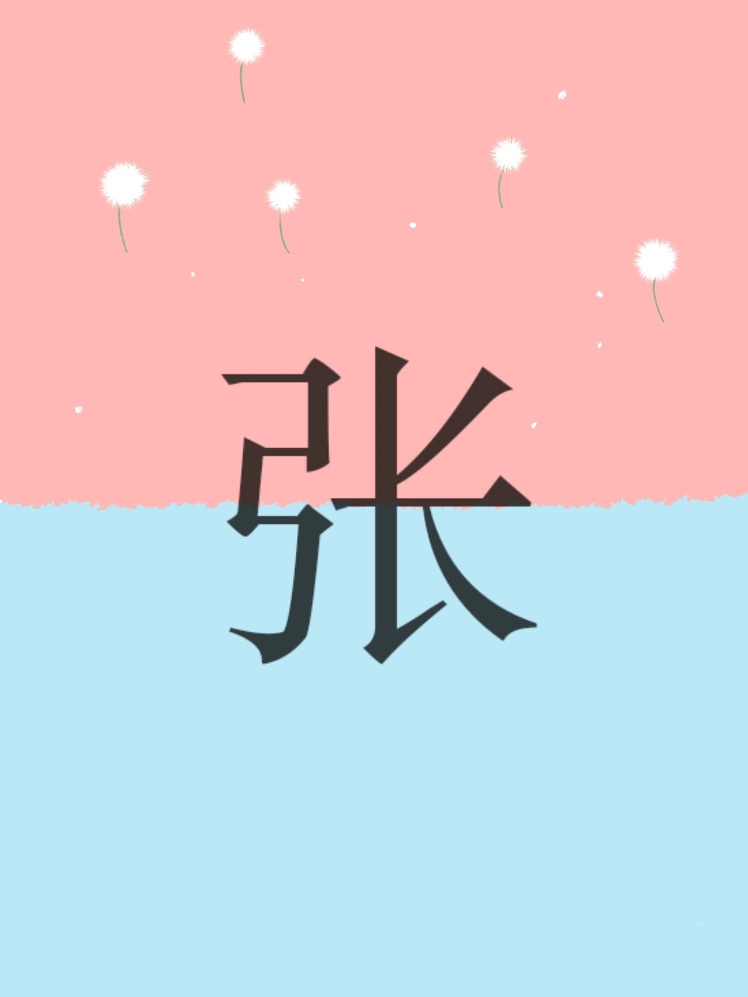 姓氏有几个张姓(张姓氏有多少年历史)