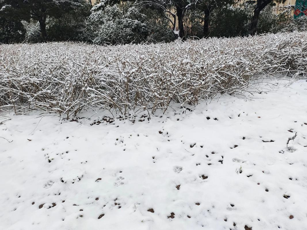 解梦周公下雪什么意思(解梦周公解梦大全免费梦见下雪)