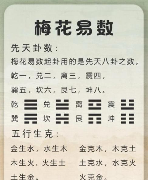 免费梅花易数占卜预测(免费梅花易数占卜结果解读)