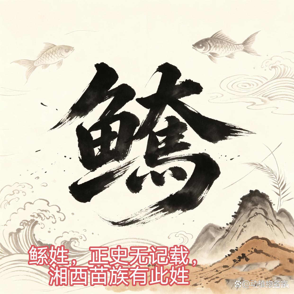 姓代表什么动物(姓名代表什么动物)