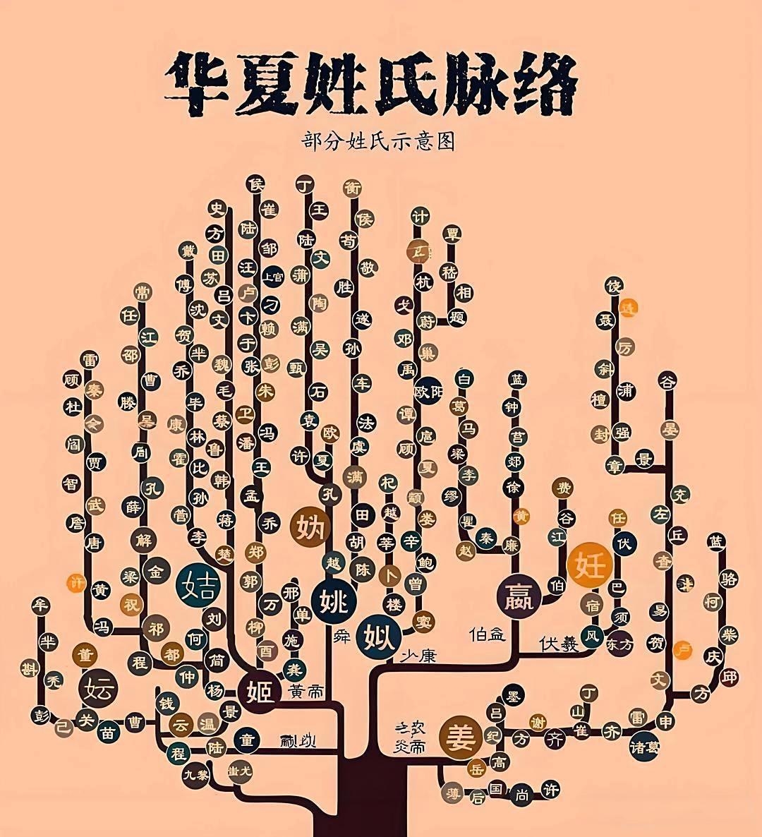 百家姓有多少姓(百家姓有多少姓氏)