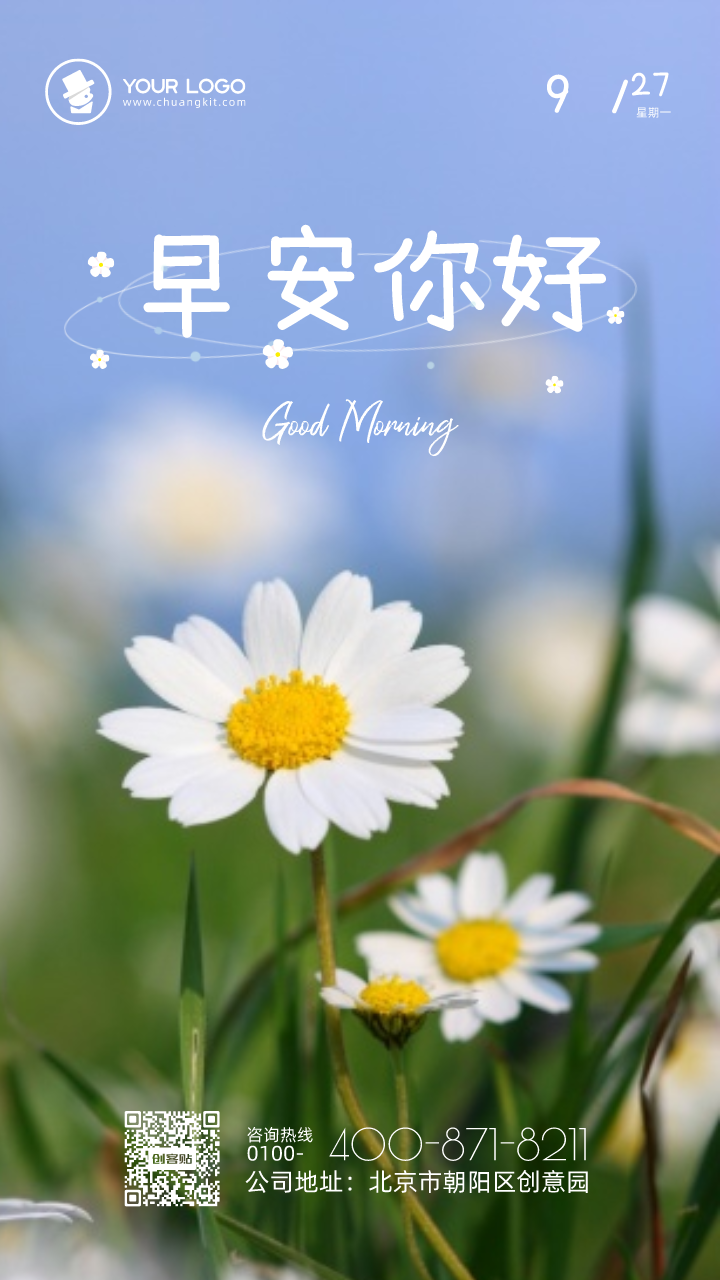 每日一签免费观看(免费每日一签48签)