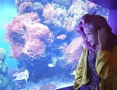 星籁是什么(星籁白噪音是什么app)