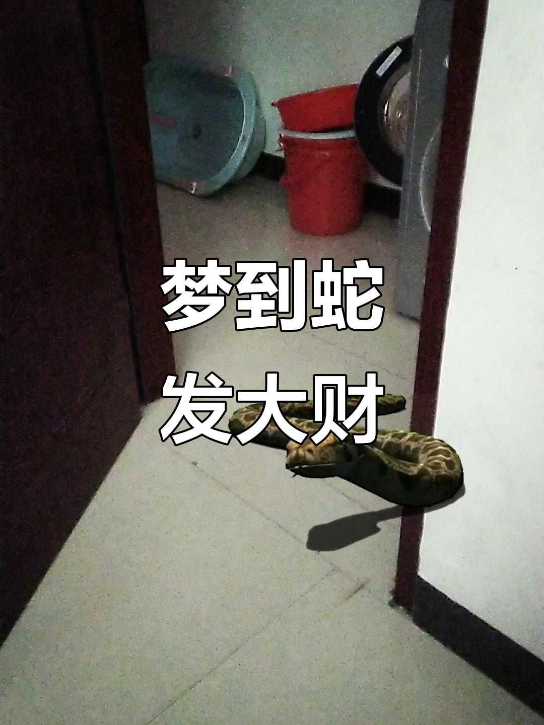 四十多岁男人梦见蛇(四十多岁男人梦见蛇缠身什么意思)
