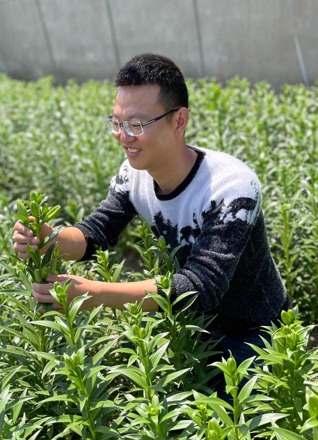 杨清禾名字一般人压不住吗的简单介绍