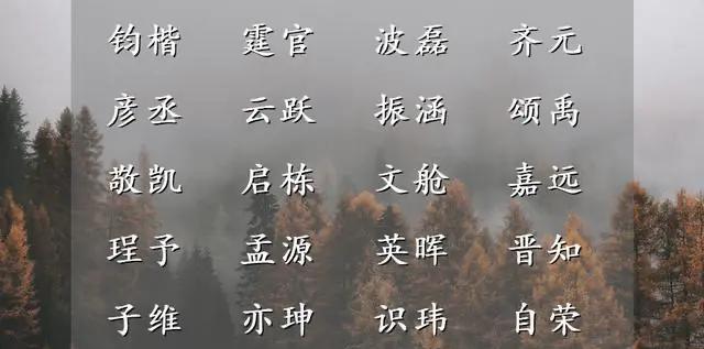 为何名字(为何名字前加阿)