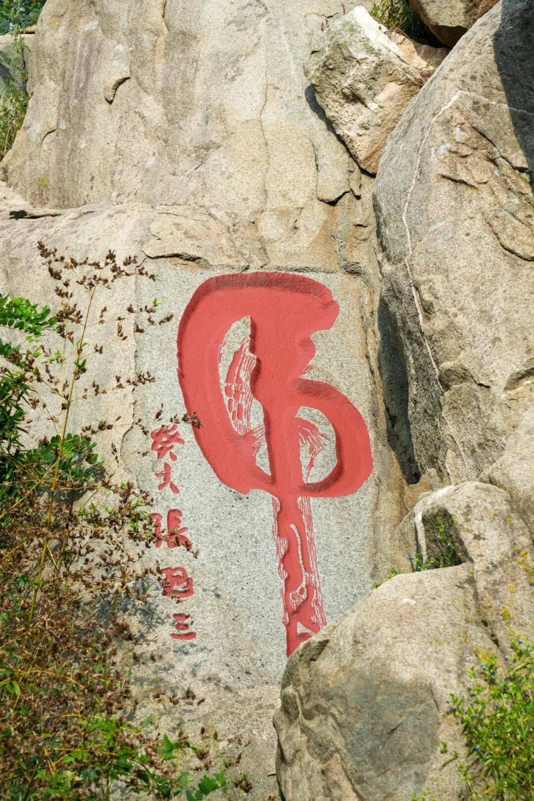 虎的读音(虎的读音有几个)