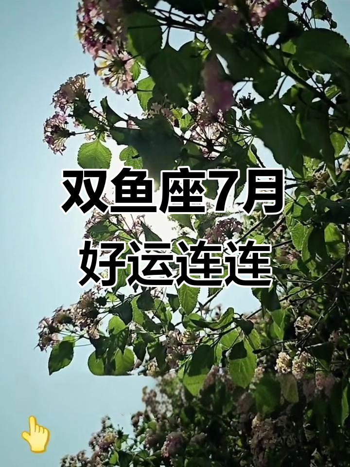 双鱼座七月份运势2026(双鱼座8月运势详解2026) 双鱼座七月份运势2026(双鱼座8月运势详解2026)