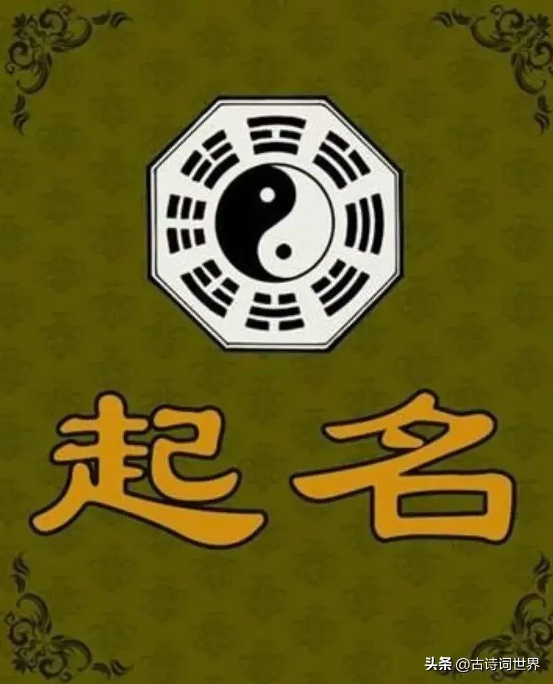 起名打分的软件叫什么(起名免费打分APP推荐)