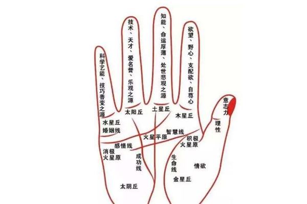 卜易八字算命(卜易免费算命入口)