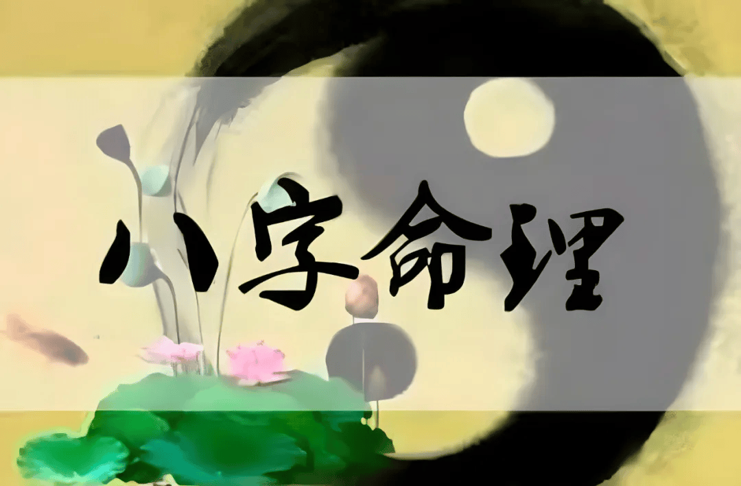 八字命理课程视频(八字命理课程视频讲解)