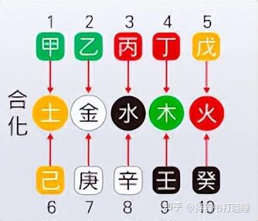 八字相合的组合有哪些(八字相合的组合有哪些生肖)