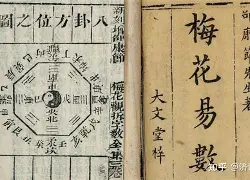 卜易居算命官网入口在哪(卜易居官网免费算命和收费区别大吗)