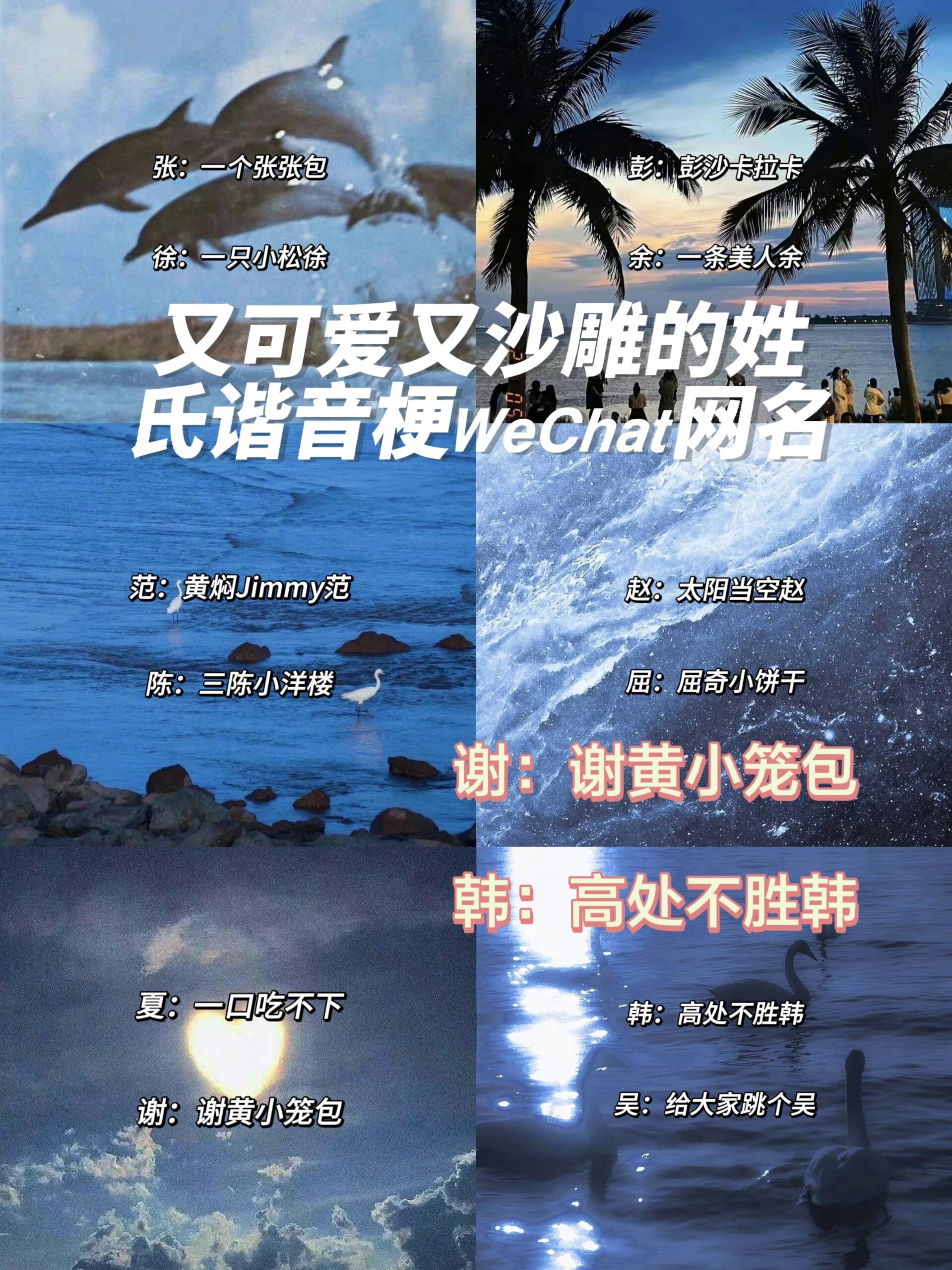 100个姓氏网名王字开头(100个姓氏网名王字开头男)