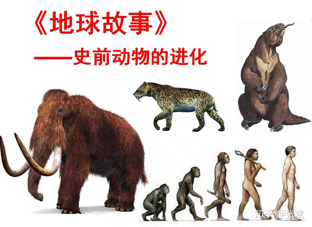 动物名字的来历和起源(动物名字的来历和起源作文)
