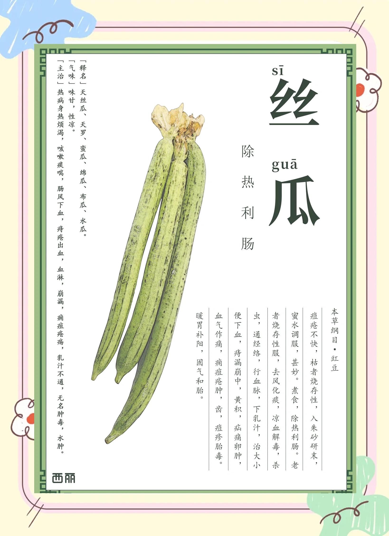 梦见摘丝瓜代表什么感情呢(梦见摘丝瓜代表什么感情呢女生) 梦见摘丝瓜代表什么感情呢(梦见摘丝瓜代表什么感情呢女生)