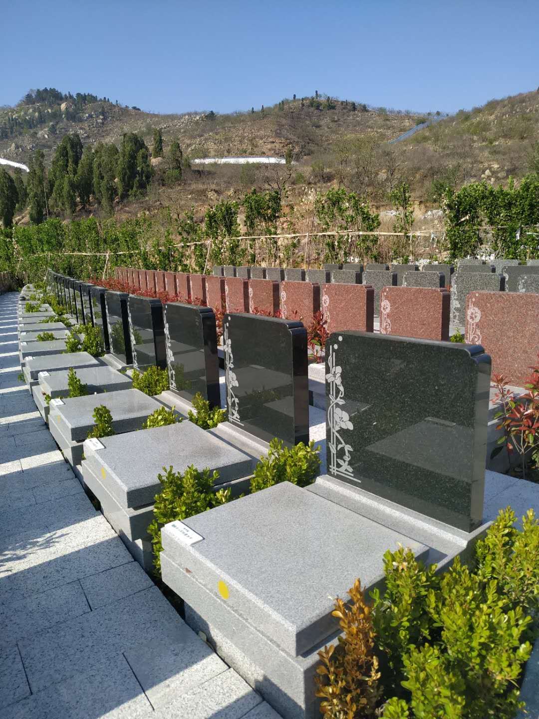 公墓最旺三个数(买墓地10大忠告)