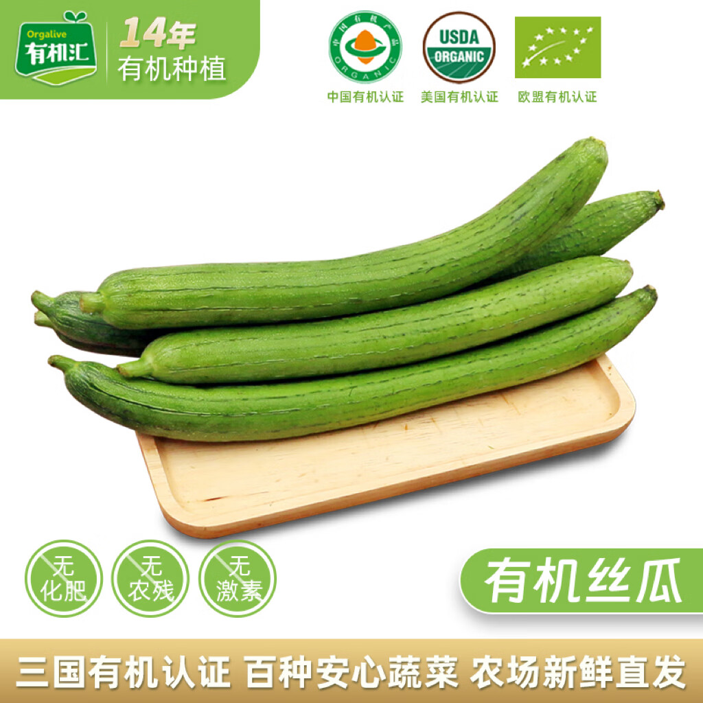 梦到摘丝瓜(梦到摘丝瓜是什么意思)