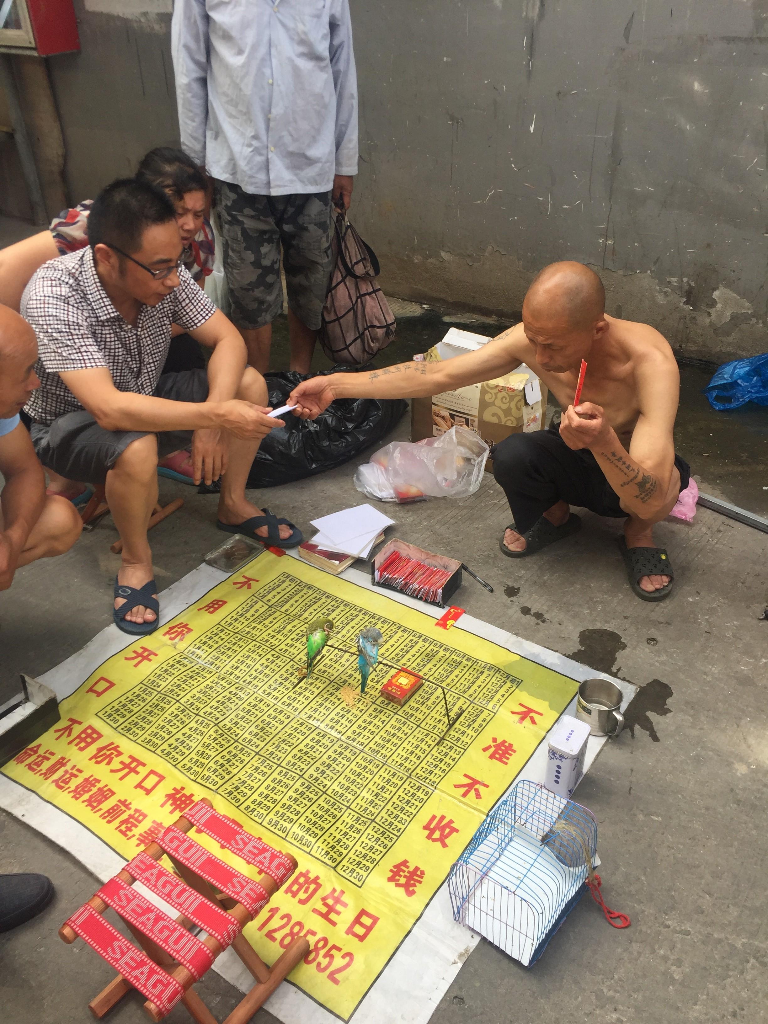 免费抽签算命不付费(免费抽签算命占卜怎么用)