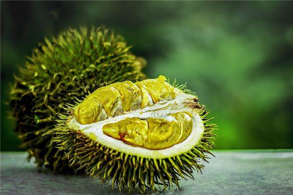 周公解梦梦见自己大便什么意思(周公解梦梦见自己的大便是啥意思) 周公解梦梦见自己大便什么意思(周公解梦梦见自己的大便是啥意思)