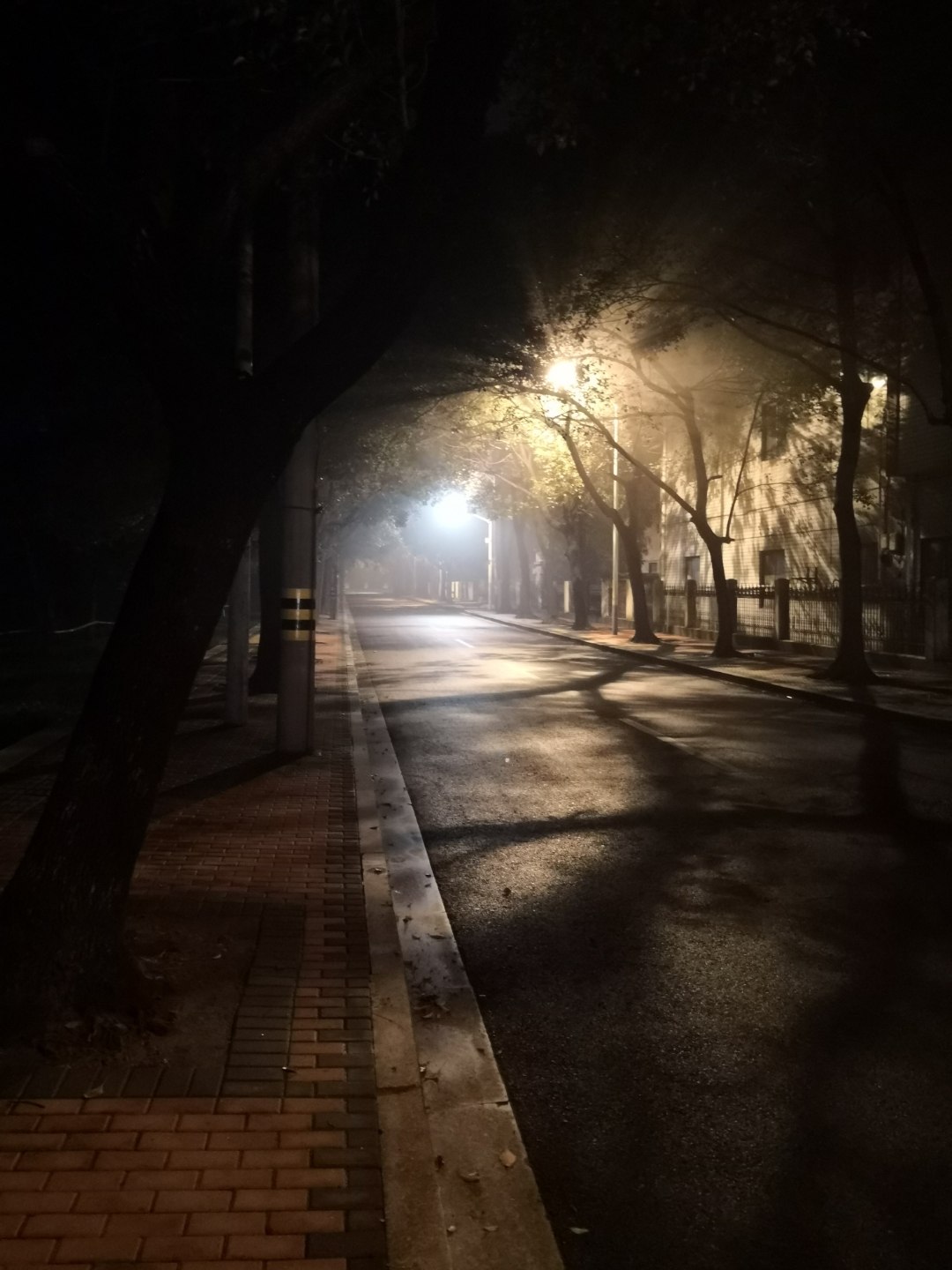 家门前横路或竖路(门前有横路也有竖路)