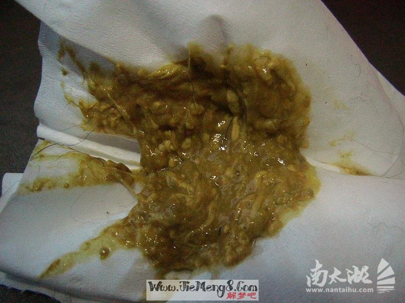 女人梦见大便是吉兆吗(女人梦见大便是吉兆吗但是恶心)