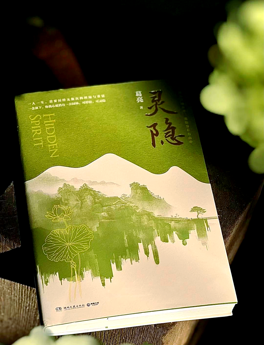 风水布局真绝妙小说(风水小说十大巅峰之作)