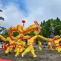 刘伯温灵签免费解读(刘伯温灵签免费抽签怎么玩) 刘伯温灵签免费解读(刘伯温灵签免费抽签怎么玩)