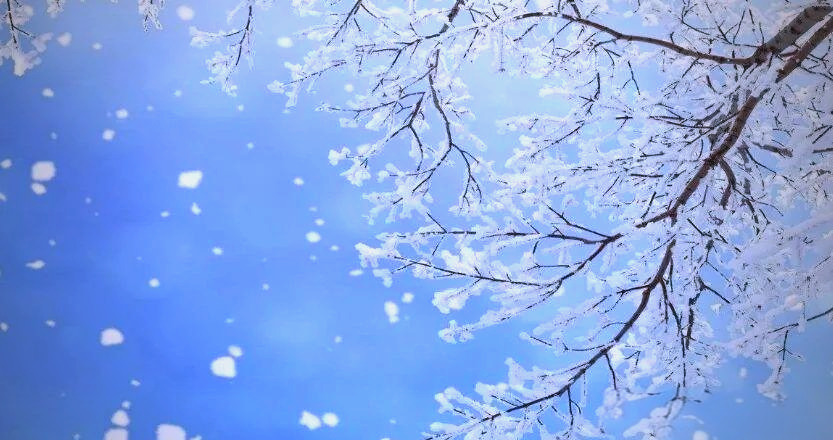 周公解梦下雪预示什么(周公解梦全解查询梦见下雪是什么意思)