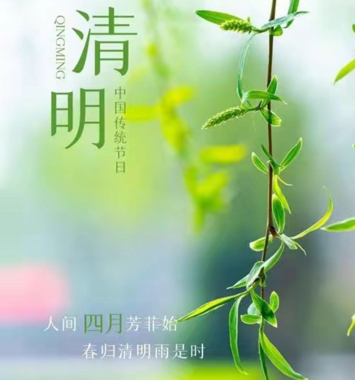 上坟必说三句话(上坟必说三句话,是孙女对爷爷说的话)
