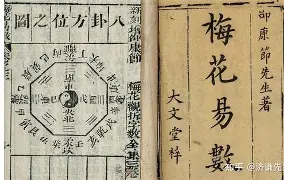 要用花瓣占卜吗(要用花瓣占卜吗为什么)
