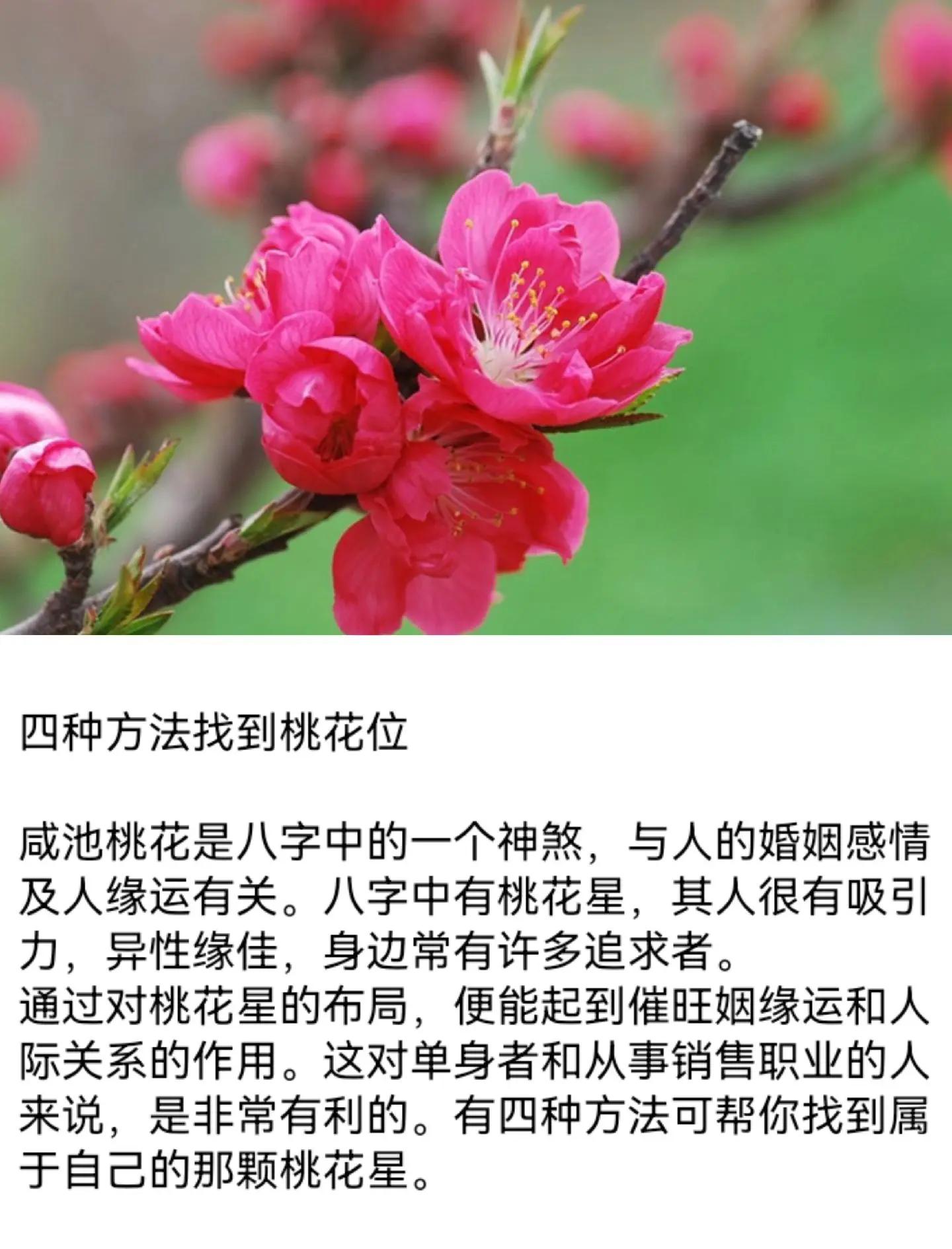 桃花运测试口诀(桃花运对男人的影响)