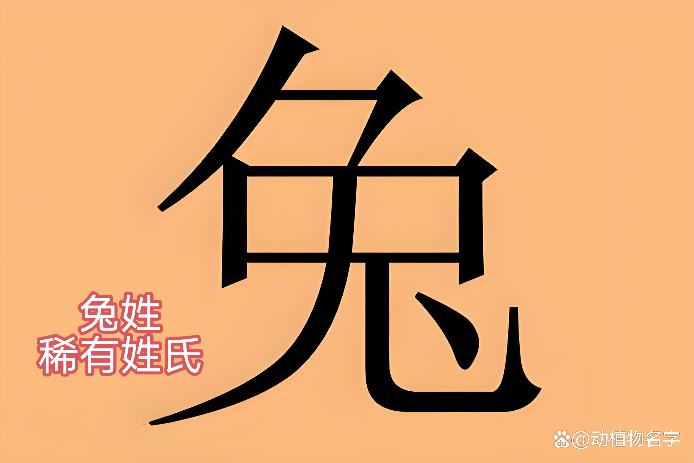 姓氏是动物的有哪些(姓氏是动物的有哪些人)
