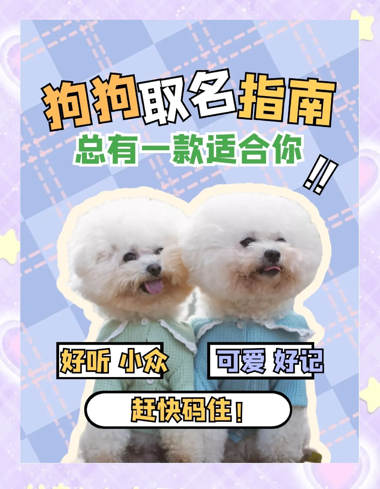 给狗狗起名字(给狗狗起名字好听的) 给狗狗起名字(给狗狗起名字好听的)