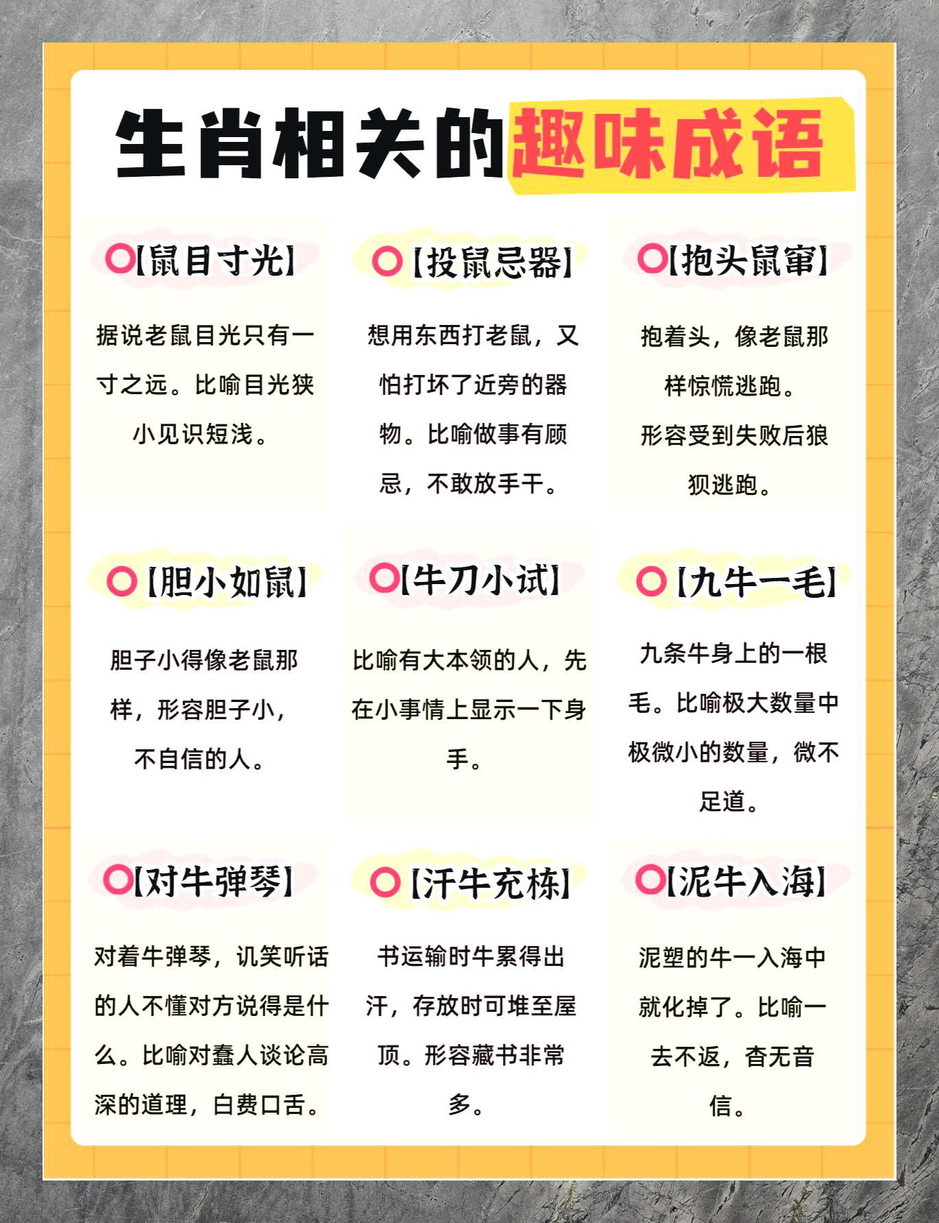 百家姓打一准确动物(百家姓老四是谁打一生肖)