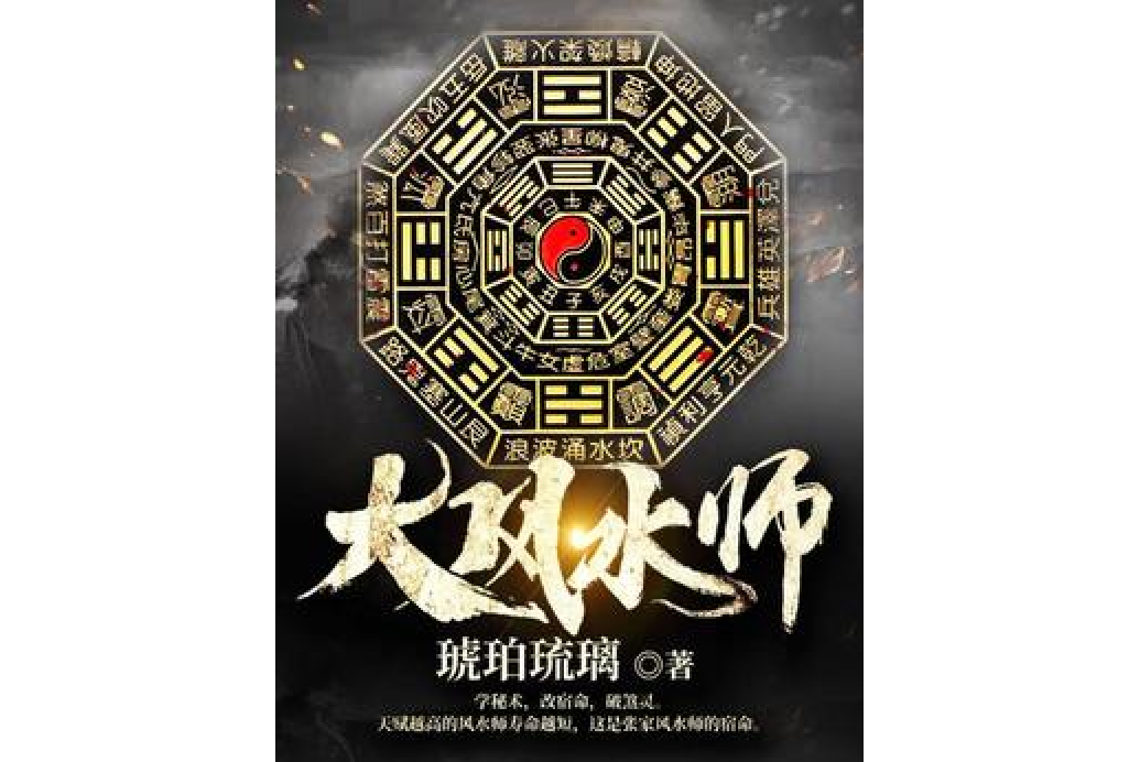 阴阳风水师小说解析(阴阳风水师小说解析百度云)