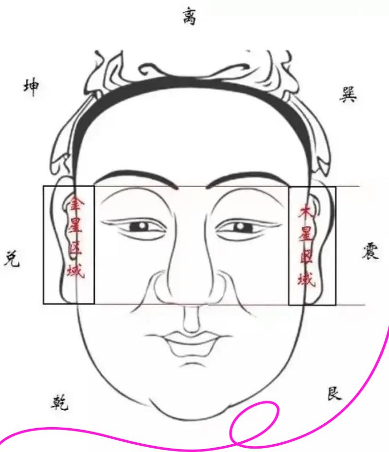 八字里面的夫妻宫在哪里看(八字里面说的夫妻宫是什么意思)