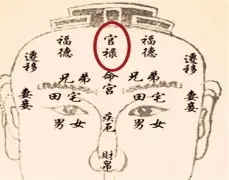 白虎星女孩子的八字(白虎星在八字中代表什么)