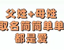 免费名字测试工具(免费名字测试APP推荐)