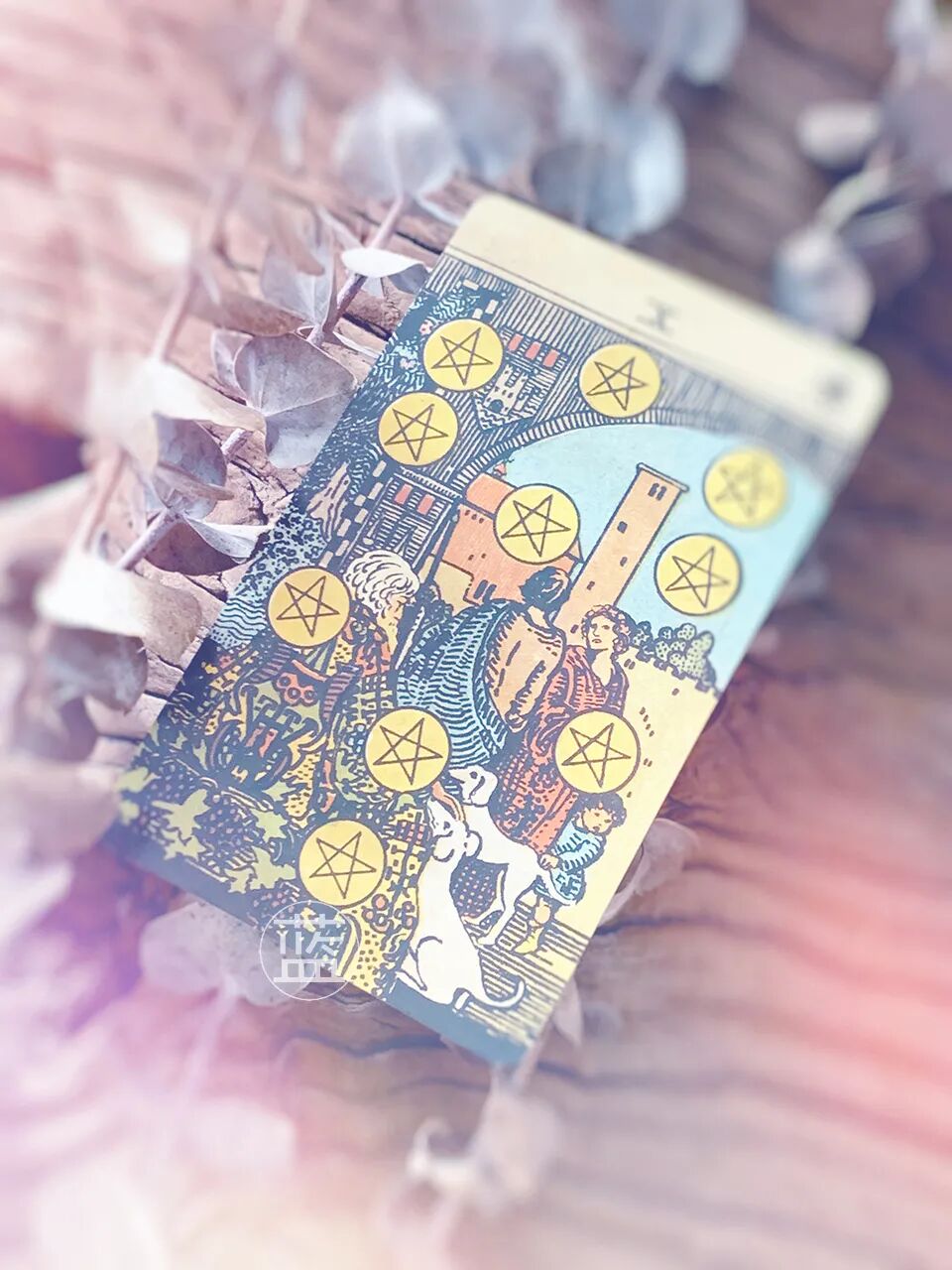 摩羯座一月下旬感情运势如何(摩羯座一月下旬感情运势如何?)