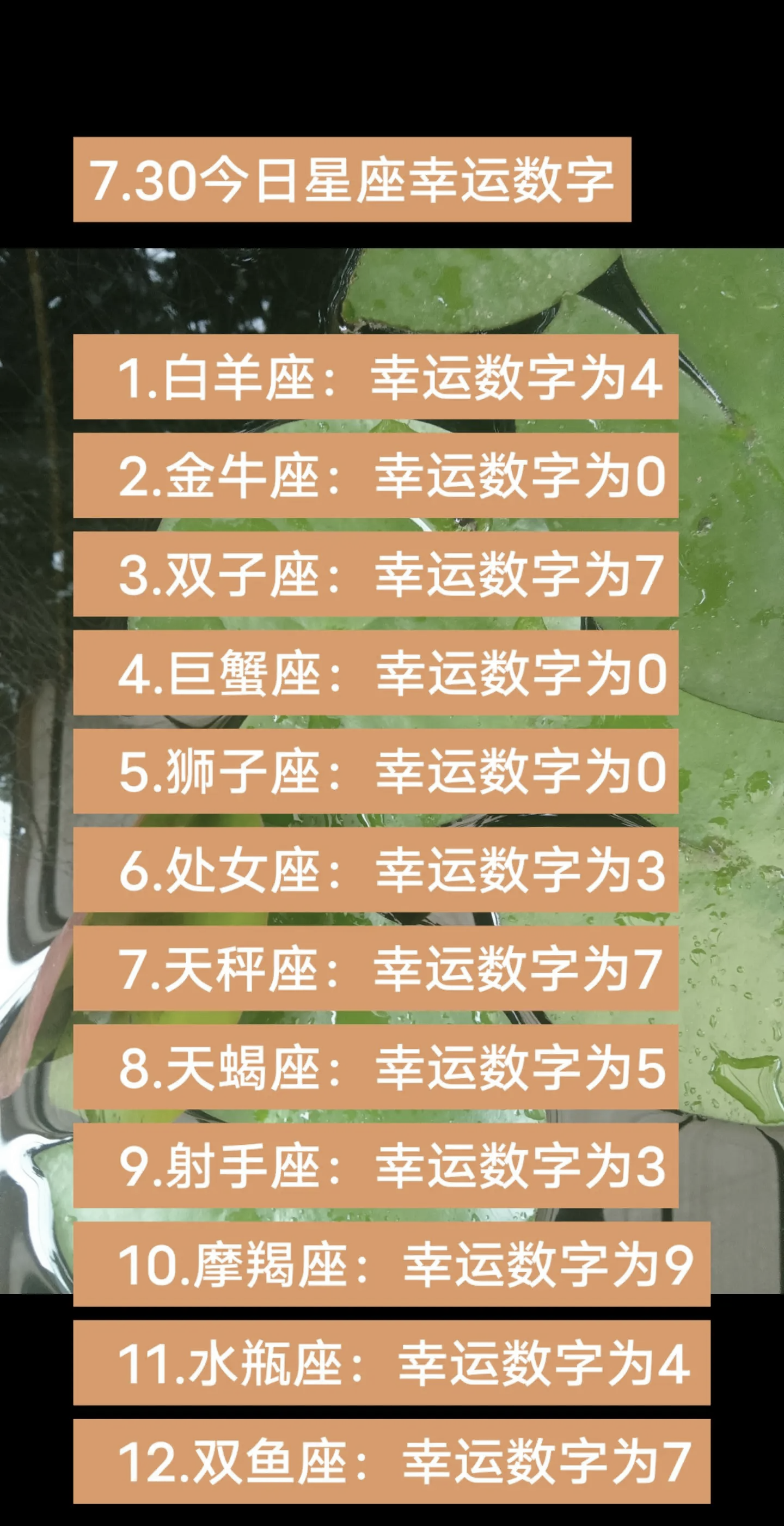 天蝎座今年运势查询(天蝎座今日运势查询方法)
