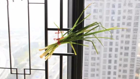 大葱挂在窗户上有什么用途(大葱挂在窗户上有什么用途吗)