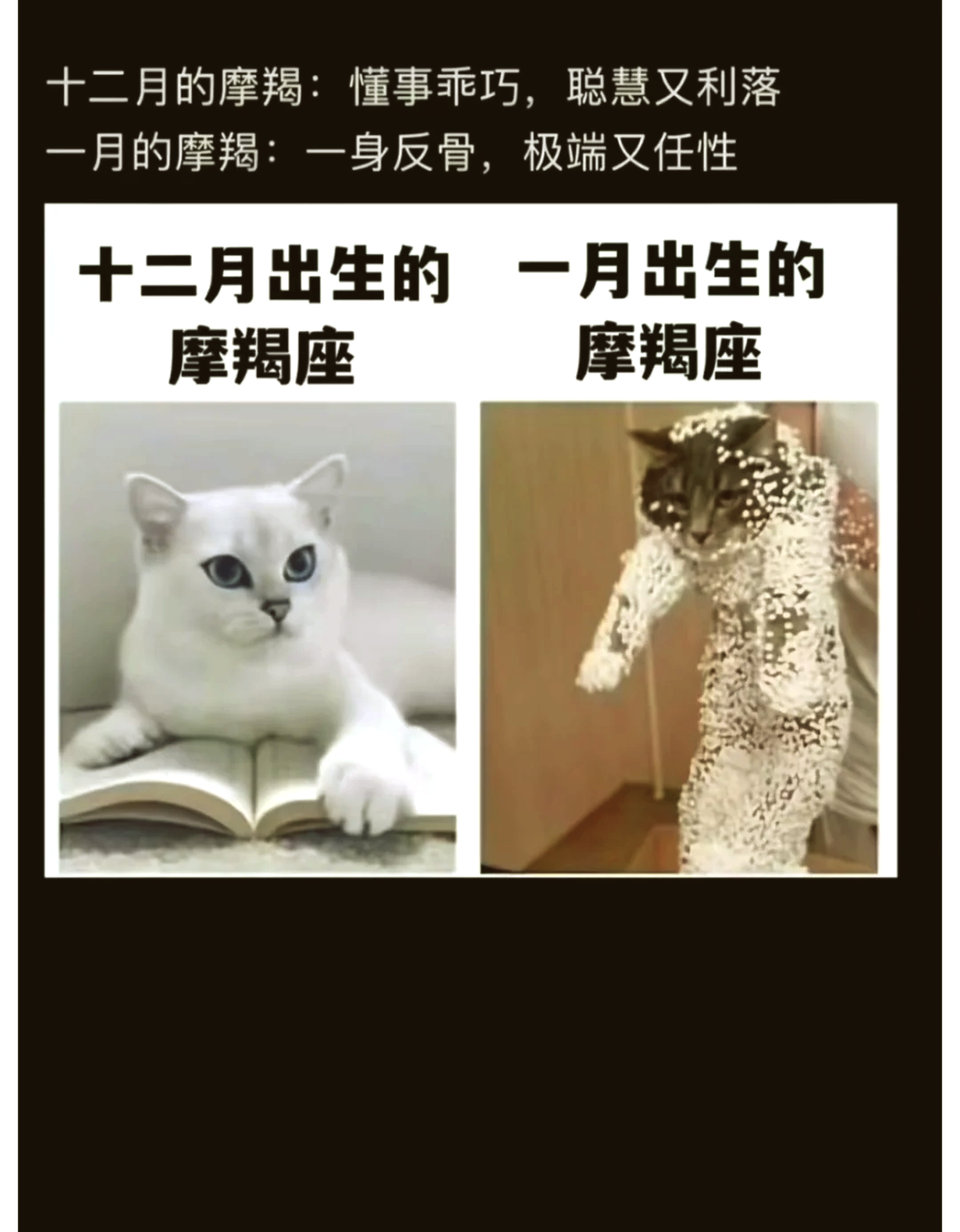 摩羯座新年运势(摩羯座新年运势如何) 摩羯座新年运势(摩羯座新年运势如何)