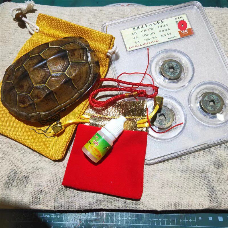 龟壳摇卦适合什么时候用(摇卦用龟壳和不用有啥区别)
