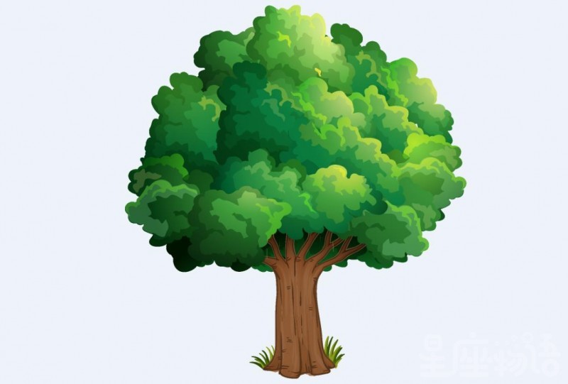 周公解梦梦见书是什么意思(周公解梦梦见看书是什么意思)