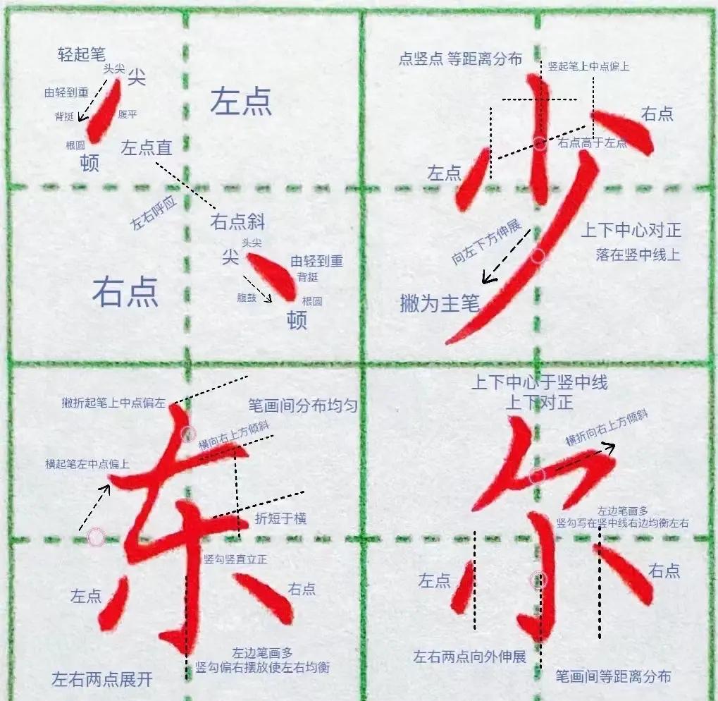 姓氏要点(姓氏重要还是血缘重要)
