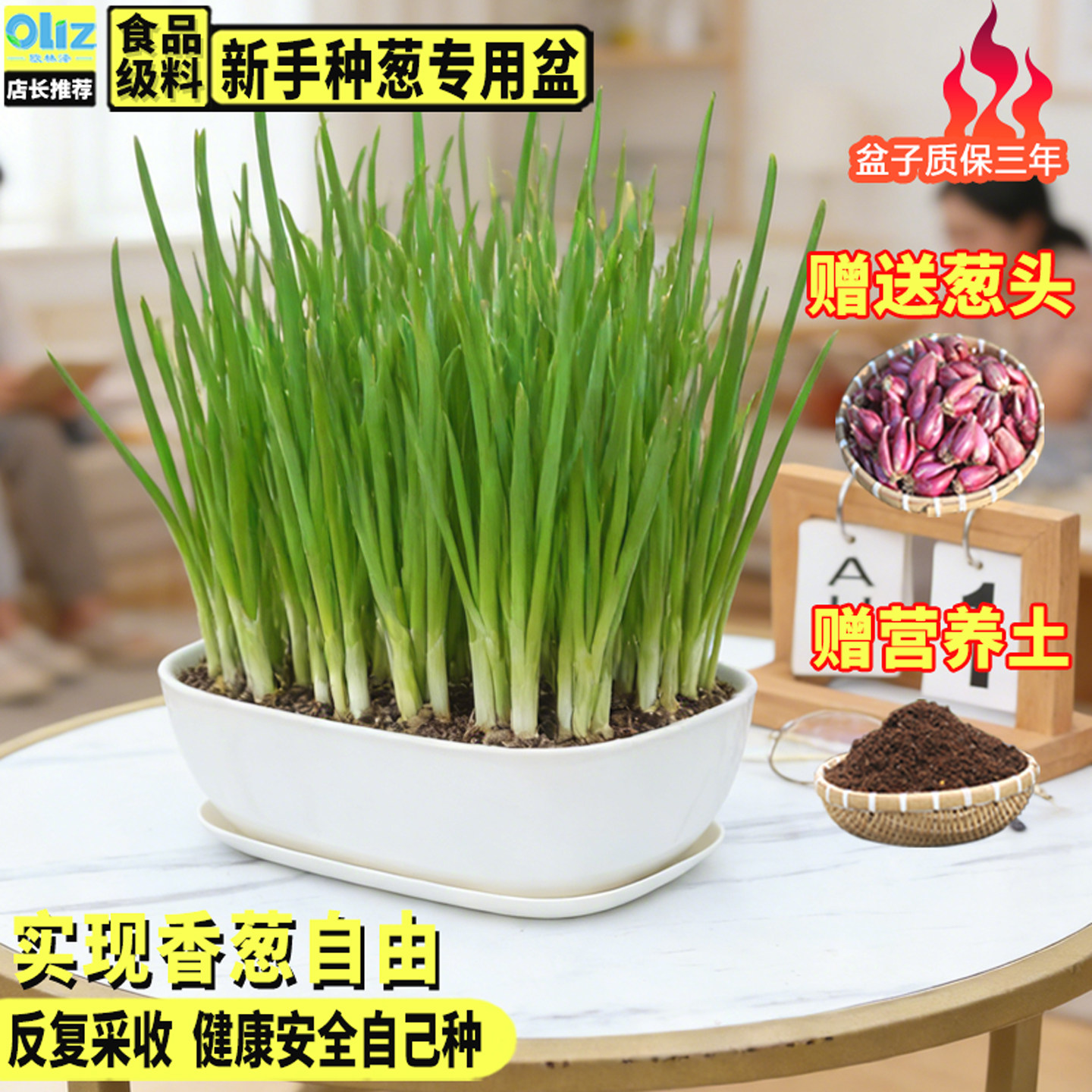 阳台上种葱是什么意思(阳台种葱的10大忌讳是什么)